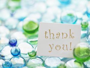 健康のために国産ドッグフードを購入