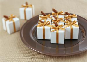 子供乗せ自転車エリーゼの紹介です